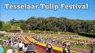 Walking at 2023 Tesselaar Tulip Festival in Melbourne, Vic, Australia