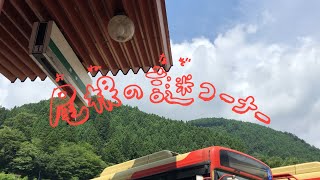 奥多摩駅前にてみんみん