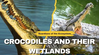 Crocodiles and Their Wetlands: Guardians of the Ecosystem - importance of crocodiles