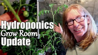 Hydroponics / Grow Room Update