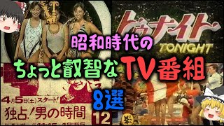 【ゆっくり解説】昭和時代の「ちょっと叡智なテレビ番組」8選