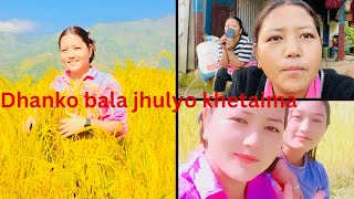 10 BARSA PAXI KHET PUGDA PAHILAKo DIN HARUKO YAD AYO @Rupakeshargurung1021