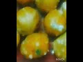 republic day special ladoo ladoo receipe recipe easyrecipe