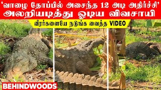 'வாழை தோப்பில் அசைந்த 12 அடி அதிர்ச்சி' அலறியடித்து ஓடிய விவசாயி! வீரர்களையே நடுங்க வைத்த ராட்சசன்