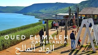 ذهبنا الى الواد المالح الدار البيضاء، مكان رائع لوقت ممتع مع العائلة | Barrage Oued el Maleh O-Lac