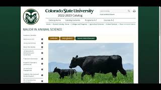 How to EXPLORE MAJORS at CSU