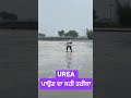 urea ਪਾਉਣ ਦਾ ਸਹੀ ਤਰੀਕਾ 🌱 best to use of urea in peddy crop