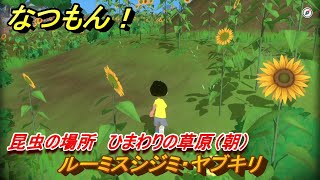 なつもん！　昆虫の場所　ひまわりの草原（朝）　ルーミスシジミ・ヤブキリ　昆虫集めてステッカーを貰おう！　＃６１０　【なつもん！20世紀の夏休み】