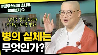 병의 실체는 무엇인가? [초심으로 돌아가는 광우스님의 소나무 시즌3 몰아보기]