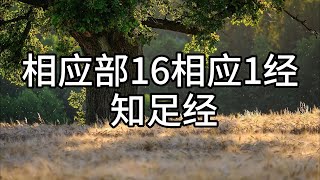 186.相应部16相应1经 知足经（白话佛经）解说