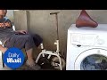 Pedal-powered washing machine saves electricity and burns calories