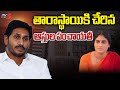 YS Sharmila Vs YS Jagan - Assets Controversy Reached to Peak Level | YS Vijayamma | TV5 News