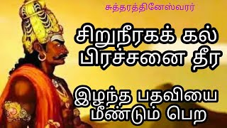 சுத்தரத்தினேஸ்வரர் திருக்கோயில் | சிறுநீரகக் கோளாறு நீங்க | ஆலய அவதாரங்கள்