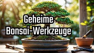 Welches geheime Bonsai Werkzeug für Anfänger Profis benutzen und nicht verraten