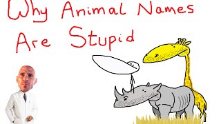 Why Animal Names Are Stupid