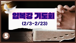 [얍복강 기도회 - 5일] 장온유 목사  (2025.2.7)