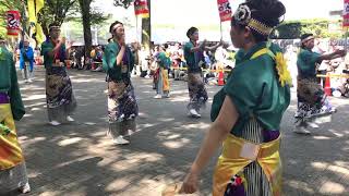 【東京都 Summer Zipper】原宿表参道スーパーよさこい2019 Harajuku-Omotesando Super Yosakoi 8月24日　NHK前ストリート