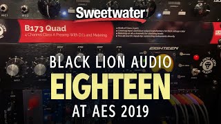 Sweetwater at AES 2019 — Black Lion Audio Eighteen Channel Strip