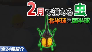 【あつ森】2月で消える虫を全て紹介！出現時間や条件・売るときの値段についても徹底解説！ヘラクレスやオウゴンオニ、フンコロガシなどレアを効率よく捕る方法【あつまれどうぶつの森　2月の虫図鑑コンプリート】