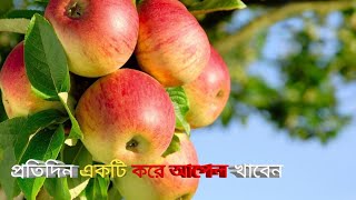 প্রতিদিন একটি করে আপেল খান আর বিভিন্ন রোগ থেকে বাঁচুন