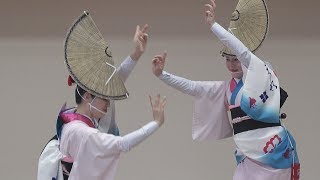 阿波踊り Awaodori - 前半「天水連南越谷関東支部」蒲生公民館文化祭（2019.2.3）