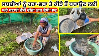 बिना केमिकल के कैसे सब्जियों को हरा भरा करे ! ਸਬਜ਼ੀਆਂ ਨੂੰ ਹਰਾ-ਭਰਾ ਤੇ ਕੀੜੇ ਤੋਂ ਬਚਾਉਣ ਲਈ ਦੇਸੀ ਖਾਦ