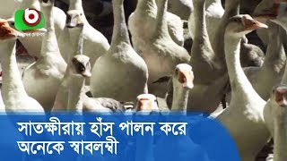 সাতক্ষীরায় হাঁস পালন করে অনেকে স্বাবলম্বী | Satkhira Duck | BD News Today