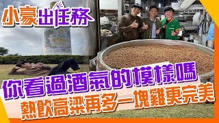 金酒現釀暢飲二鍋頭 高濃度酒精下肚直接體內消毒 #金門酒廠【#小豪出任務】