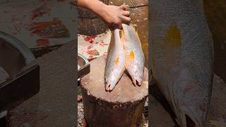 Delicious Giant Poa Fish Cutting Skills In Expert Fish Cutter Live In Fish Market part-30 #shorts