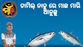 ତାମିଲ୍ ନାଡୁ ନ ମାଛ ମାରୁଛୁ ବହୁତ ମଜା ଲାଗୁଛେ