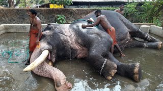 ഇക്കൊല്ലം രാമനില്ല പകരം എറണാകുളം ശിവകുമാർ | ശിവ കുമാറിനൊപ്പം ഇത്തിരിനേരം