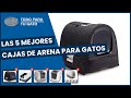 Las 5 mejores cajas de arena para gatos