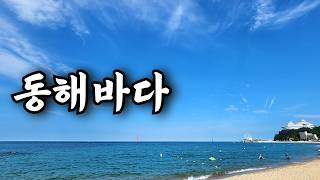 혼자 대중교통 당일치기 강릉 여행 | 국내여행 정동진