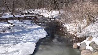 Harmony Creek Path