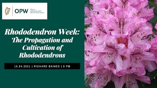 Rhododendron Week: The Propagation and Cultivation of Rhododendrons