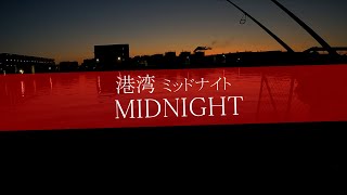 【シーバス】初春、久しぶりの生命感！『港湾（こうわん）MIDNIGHT』 【東京湾シーバスチャンネル】小河川河口エリアにイナッコの群れが訪れる