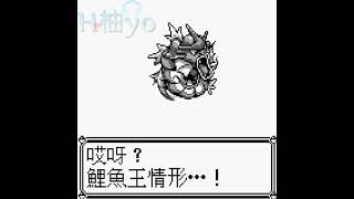 第一世代【精靈寶可夢】Pokemon - 進化表現 - No.0129鯉魚王[Lv20]-No.0130暴鯉龍 #神奇寶貝 #口袋妖怪