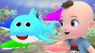 Baby Shark | Super Lime  Nursery Rhymes & Kids Songs