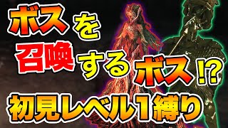 【ダクソ2】ボスを召喚するボス「穢れのエレナ」が控えめに言って強すぎる #35【DARK SOULS Ⅱ(ダークソウル2)】初見レベル1縛り