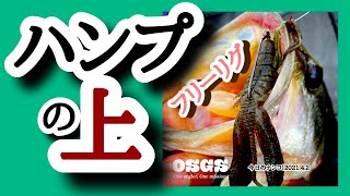 【今日のナンコ！2021.4.2】ハンプの上のフリーリグ【琵琶湖バス釣り】