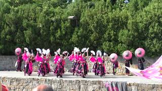 ザ・よさこい！　大江戸ソーラン祭り 2017～dance company REIKA組～（10/14）（2017）