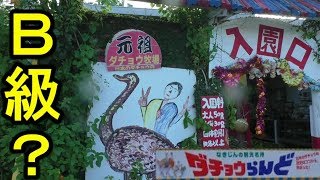 【沖縄旅行 Vlog05】楽しいか微妙か分かれる ダチョウらんど。その後は水族館＆飯　Ostrich Land Japan Okinawa Travel Videos