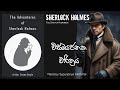 Sherlock Holmes | විස්මයජනක චාරිත්‍රය | Full Sinhala Audiobook by Supunpriya Methmal CnAudioStories
