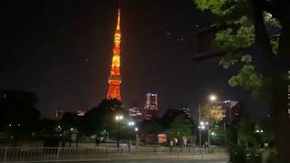 [4K夜散歩] 芝公園一周 (東京タワー多め) Shiba Park and Tokyo Tower, Night Tokyo Walk