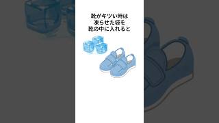 生活に役立つ面白い雑学#shorts #雑学