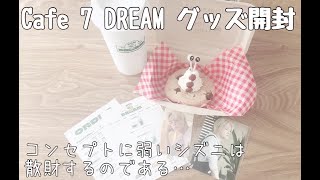 《開封動画》やっと届いたCafe 7 DREAMのMD〜草鈍器を添えて〜