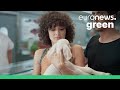 Live lamb used in provocative new vegan commercial in Israel