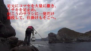 2016年02月28日　神津島　タダナエ島　エボシ