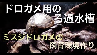 かめぞー☆ちゃんねる　24クラッチ目 ドロガメ用 ろ過水槽〜ミスジドロガメの飼育環境作り〜