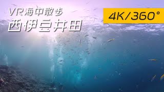 西伊豆井田 ３６０VR海中さんぽ [4K/360/VR]